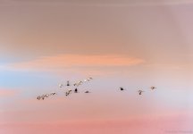 _DSC5445-Edit.jpg