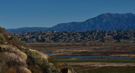 25th Jan 2015 006.JPG