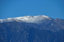 25th Jan 2015 091.JPG