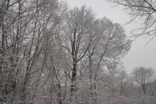 _AAA4296 - Version 2 - 2015-01-24 at 10-03-01.jpg