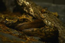 DSC_9935.jpg