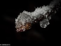 Freezing Over (1 of 1).jpg