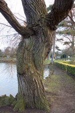 DSC_0503.jpg