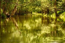 15A_7181_HDR_webshot.jpg