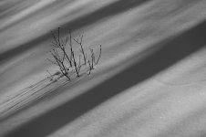 Neige ombragée.jpg