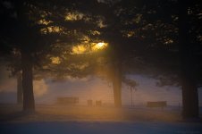 Froid matin à -27 C.jpg