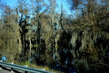 DSC_0251.jpg