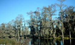 DSC_0253.jpg