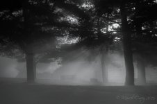 cold B&W.jpg