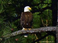 _DSC5867.jpg