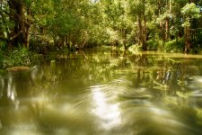 15A_7176_HDR_webshot.jpg