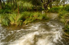 15A_7246_HDR_webshot.jpg