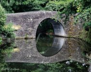Hamilton Gardens Bridge.jpg