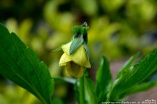 FSC_0216.jpg