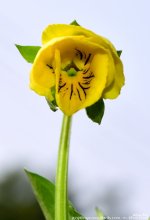 FSC_0218.jpg