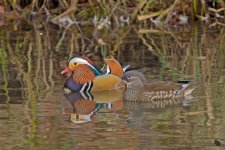 _DSC4149-Edit.jpg