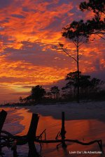 DSC_1597.jpg