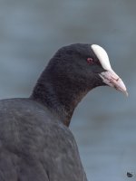 _DSC4278.jpg