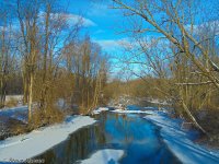DSC00163.jpg