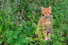 DSC_2678.jpg