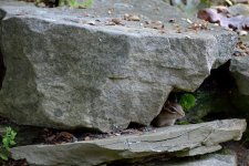 DSC_2841.jpg