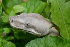 DSC_0470.jpg