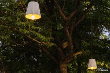 lights1-1.jpg