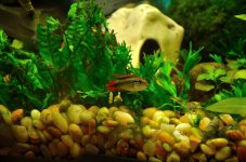 26th & 27th Jan 2015 005.JPG