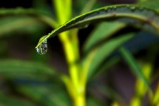 26th & 27th Jan 2015 007.JPG