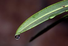 26th & 27th Jan 2015 008.JPG