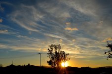 26th & 27th Jan 2015 026.JPG