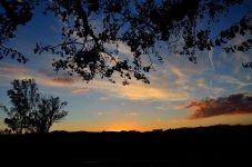 26th & 27th Jan 2015 042.JPG