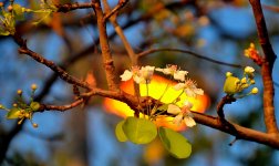 26th & 27th Jan 2015 029.JPG