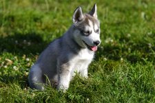 DSC_4843.jpg
