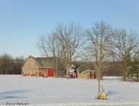 DSC00169.jpg