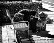 1-28-15 Mizner   10b.jpg