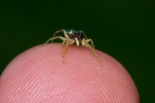 DSC_8005.jpg