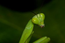 DSC_8016.jpg