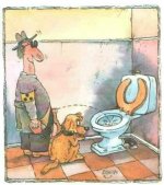 guide dog.jpg