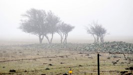DSC_8023.jpg