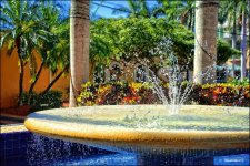 1-28-15 Mizner   14.jpg
