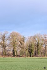 _DSC4940-Edit.jpg