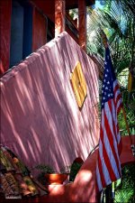 1-28-15 Mizner   25.jpg
