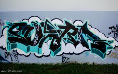 Swart.jpg