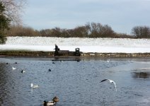 DSC_0675.jpg