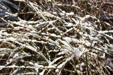 DSC_0639.jpg