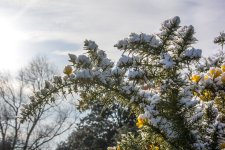 DSC_0642.jpg