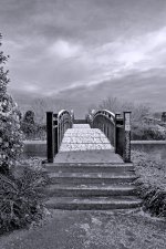 DSC_0615bw.jpg