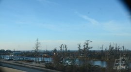 DSC_0497.jpg