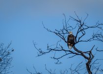 Day 30 of 365-2015-6009.jpg